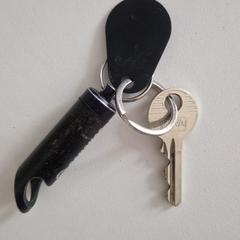 Sleutelbos met gehoorbescherming, as reported to iLost