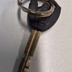 Klucz, zgłoszono przez Gemeente Zonhoven przy użyciu iLost