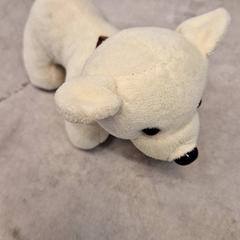 Liten hund, zoals gemeld door IKEA Malmö met iLost