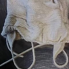 Sombrero Kind wit, ha sido reportado por Burgers' Zoo con iLost