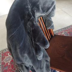 Damesjas, iLost'a bildirildiği gibi