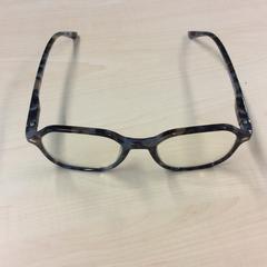 Brille Gevlekt bruin, grijs, creme, gemeldet von Gemeente Barneveld über iLost