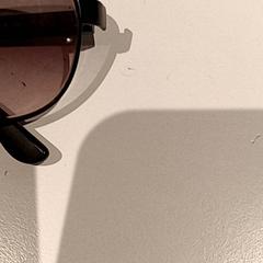 Zonnebril, zoals gemeld door De Efteling met iLost