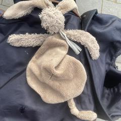 Knuffeldoek konijn, jak bylo nahlášeno na iLost