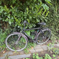 Herenfiets gazelle an iLost gemeldet