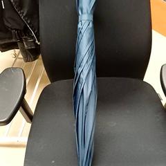 Guarda-chuva Donkerblauw, como reportado por Qbuzz GD Groningen Peizerweg utilizando o iLost