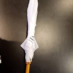 Paraplu, zoals gemeld door Padualaan 97 met iLost