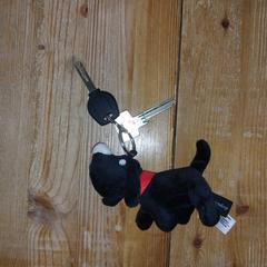 Sleutelbos met een Takkie-sleutelhanger, jak zgłoszono do iLost