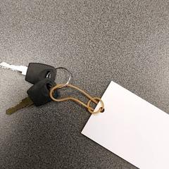 Chiavi, come riportato da Centraal magazijn utilizzando iLost