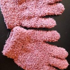 Gloves Paars, as reported by DierenPark Amersfoort using iLost