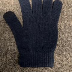 Hanske, som rapportert av GVB ved bruk av iLost