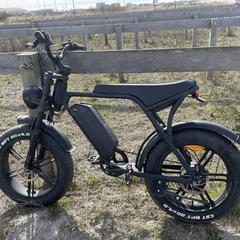 Fatbike がiLostに報告されました