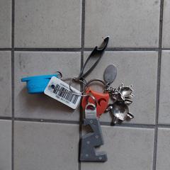 Sleutelhanger an iLost gemeldet