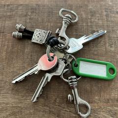 Sleutelbos, jak bylo nahlášeno na iLost