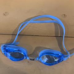 Duikbril, come riportato da Familie Resort Molenwaard utilizzando iLost