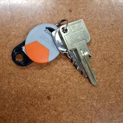 Schlüssel, gemeldet von IKEA Grenoble über iLost