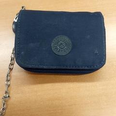 Portfel, zgłoszono przez Regio Antwerpen - Brussel przy użyciu iLost