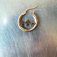 Earring, as reported by Burgers' Zoo using iLost