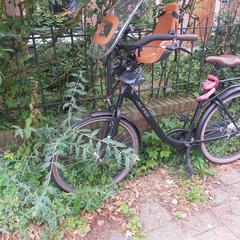 altrec damesfiets met kinderzitje, ha sido reportado a iLost