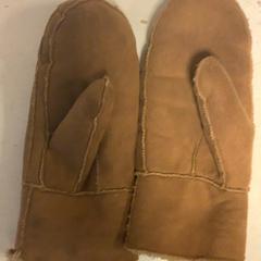 Mitaines Bruin, a été signalé par Artis utilisant iLost