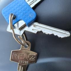 Sleutelbos, som rapportert til iLost