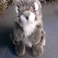 كنوفل، كما تم الإبلاغ عنه بواسطة Diergaarde Blijdorp عبر iLost