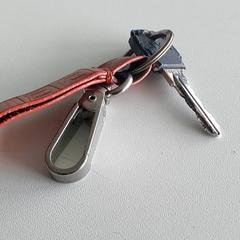 Llave sleu, ha sido reportado por Regio Limburg - Leuven con iLost