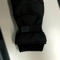 قفاز Zwart، كما تم الإبلاغ عنه بواسطة Burgers' Zoo عبر iLost