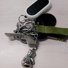 Schlüsselanhänger, gemeldet von Arriva Limburg Zuid über iLost