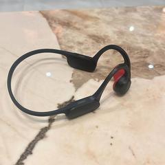 Auriculars, segons ha informat Van der Valk Hotel Gorinchem mitjançant iLost