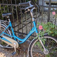 Blauwe fiets, iLost-i jakinarazi zaion moduan