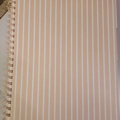 Notebooku met aantekeningen verpleegkunde, jak nahlášeno Heidelberglaan 7 pomocí iLost