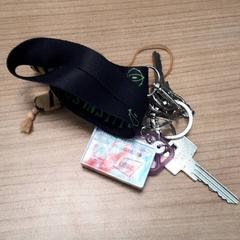 İLost kullanarak Transdev Hoeksche Waard Goeree Overflakkee tarafından bildirildiği gibi Anahtarlık