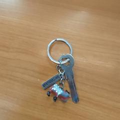 Key, as reported by Blauwnet Zwolle using iLost