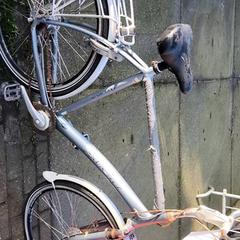 Gizonezkoen bizikleta Batavus, gisa salatu by Stadswerk072 iLost erabiliz