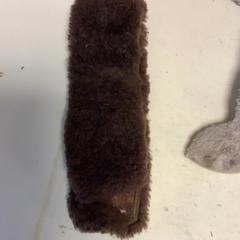 Shawl, as reported by Artis using iLost