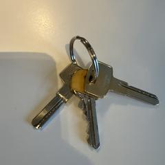 Sleutels, segundo informou a iLost