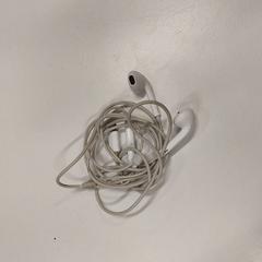 İLost kullanarak Apenheul tarafından bildirildiği gibi Oortjes