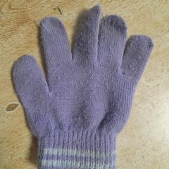 Handschoen, as reported by Dolfinarium using iLost