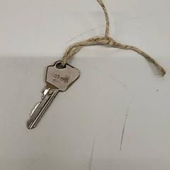 Nøkkel, som rapportert av Transdev Gooi en Vechtstreek ved bruk av iLost