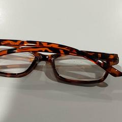 النظارات، كما تم الإبلاغ عنه بواسطة Regio Oost-Vlaanderen عبر iLost