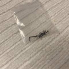 ボディピアス & アクセサリー, ha sido reportado por IKEA長久手 con iLost