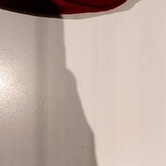 Hátizsák, amint azt De Efteling az iLost segítségével jelentette.