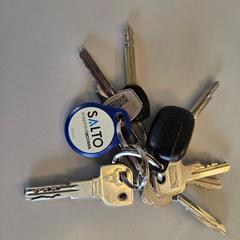 Sleutelbos, como reportado ao iLost