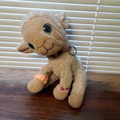 Peluche, come riportato da Connexxion Haarlem IJmond utilizzando iLost