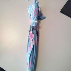 Deštník, jak nahlášeno Twisto pomocí iLost