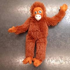 Knuffel, gisa salatu by Rotterdam The Hague Airport iLost erabiliz