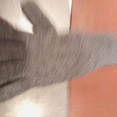 İLost kullanarak TCL tarafından bildirildiği gibi Eldiven gris