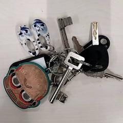 Giltza-giltza, gisa salatu by Arriva Limburg Zuid iLost erabiliz