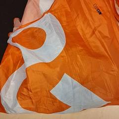 Flagge, gemeldet von RET über iLost